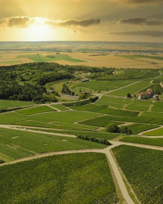 Vue aérienne Nogent l'Abbesse